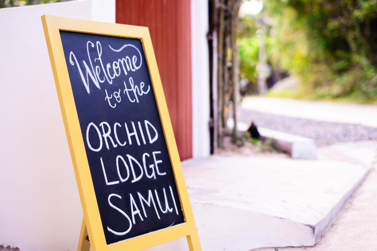 Orchid Lodge Samui - Bed & Breakfast Lamai Beach  Exterior photo